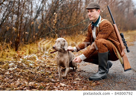 Smiling guy with dog breed weimaraner walks in the woods. Hunting dog training Smiling guy with dog breed weimaraner walks in the woods. Hunting dog training 84800792