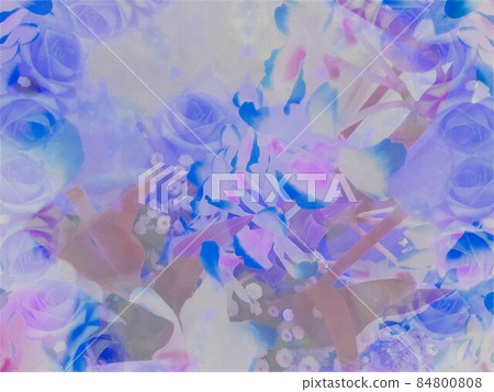 花朵 花 花卉 84800808