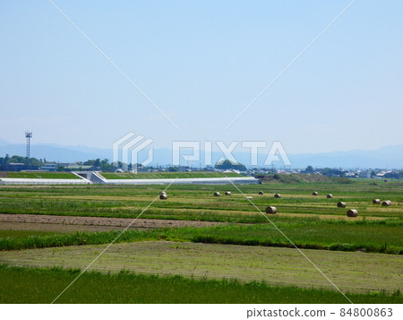農業 84800863