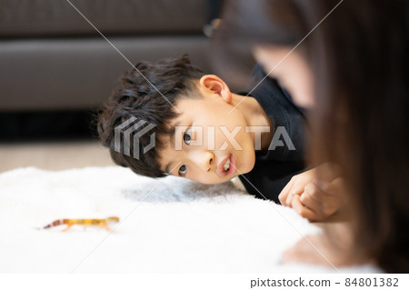 兒童生活小學生蜥蜴 兒童生活小學生蜥蜴 84801382