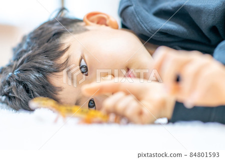 兒童生活方式小學生兒童寵物 兒童生活方式小學生兒童寵物 84801593