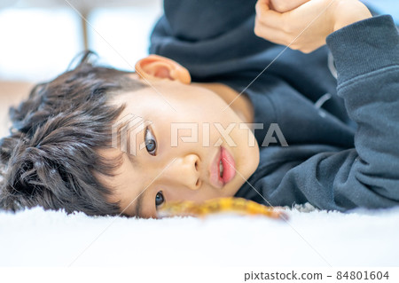 兒童生活方式小學生兒童寵物 兒童生活方式小學生兒童寵物 84801604