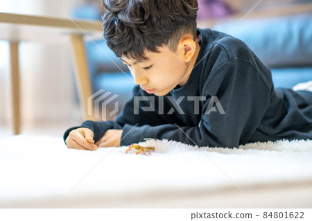 兒童生活方式小學生兒童寵物 84801622