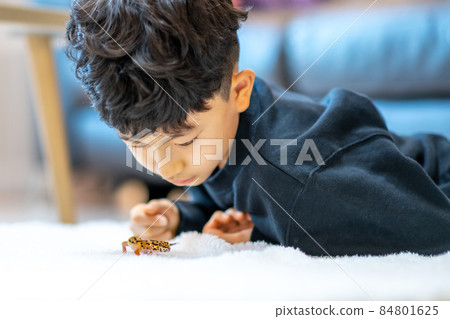 兒童生活方式小學生兒童寵物 兒童生活方式小學生兒童寵物 84801625