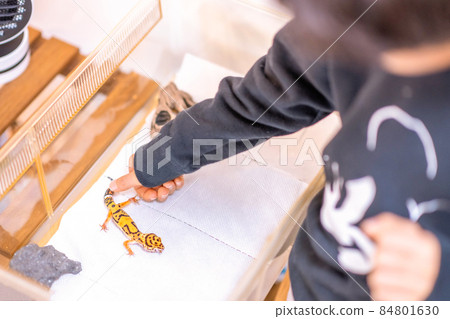 兒童生活方式小學生兒童寵物 兒童生活方式小學生兒童寵物 84801630