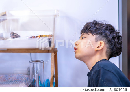 兒童生活方式小學生兒童寵物 兒童生活方式小學生兒童寵物 84801636