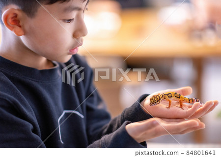 Children's Lifestyle Elementary School Children's Pets 84801641