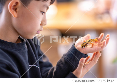 兒童生活方式小學生兒童寵物 84801642