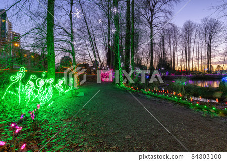 Trail in a park around Lafarge Lake with Christmas Lights. 84803100
