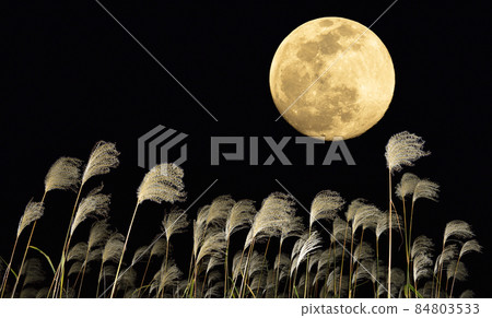 [Autumn image] Full moon and Japanese pampas grass 84803533