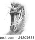 pencil Drawing unicorn realistic style, tattoo, shirt design, logo or sign 84803683