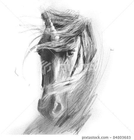 pencil Drawing unicorn realistic style, tattoo, shirt design, logo or sign 84803683