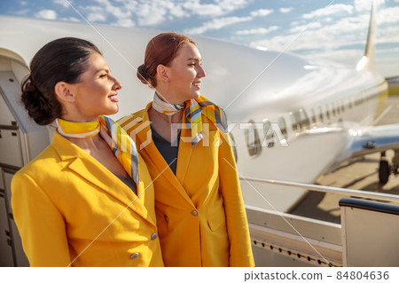 Joyful flight attendants standing near airplane door 84804636