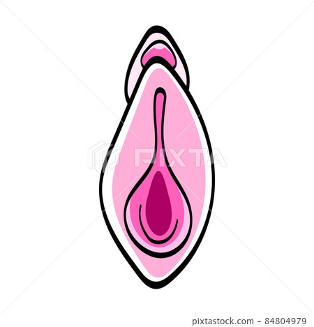 Light Pink Rose Flower isolated on background 84804979