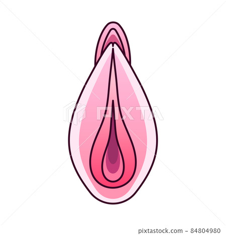 Beautiful light pink red Rose Flower isolated on white background. Vector 84804980