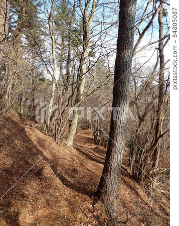 冬枯山徑 84805087