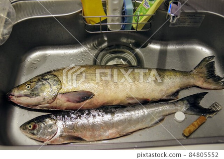 煮三文魚 煮三文魚 84805552