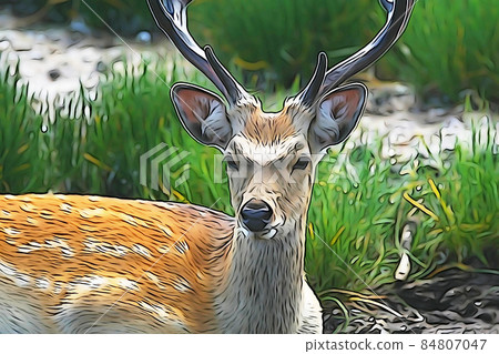 Pastel style "Ezo deer" illustration image Pastel style "Ezo deer" illustration image 84807047
