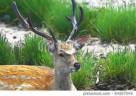 Pastel style "Ezo deer" illustration image Pastel style "Ezo deer" illustration image 84807048