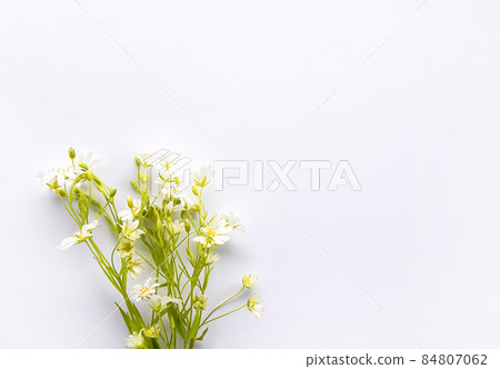 Wildflowers bouquet on white background. Flat lay, top view Wildflowers bouquet on white background. Flat lay, top view 84807062