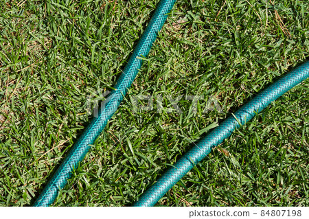 On the green lawn there is a hose for watering plants. High quality photo 84807198