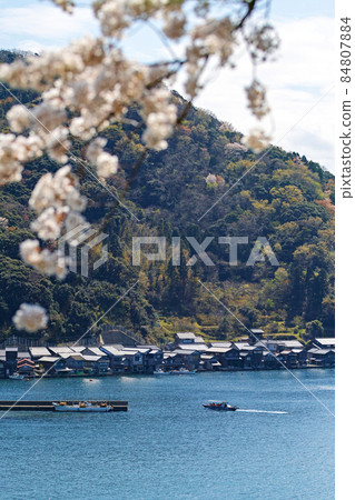 Kyoto Prefecture / "Ine no Funaya" group when the cherry blossoms are in full bloom (important traditional buildings preservation area) Kyoto Prefecture / "Ine no Funaya" group when the cherry blossoms are in full bloom (important traditional buildings preservation area) 84807884