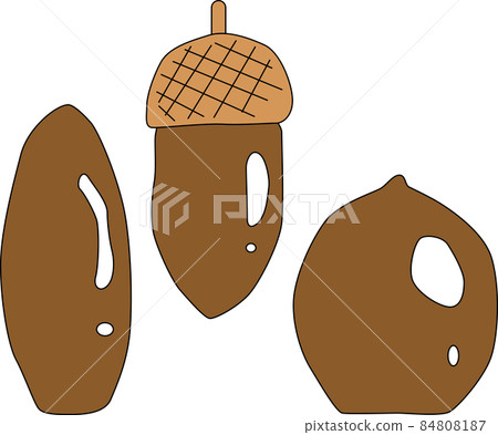 可愛的橡子插畫素材 84808187