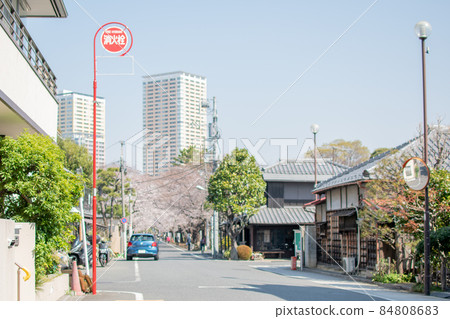 Yanaka Cemetery Entrance / Taito-ku, Tokyo 84808683