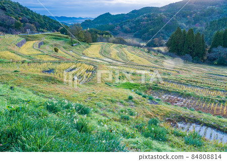 [Chiba Prefecture] Autumn Oyama Senmaida, after harvesting rice, dawn 84808814