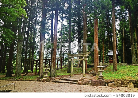 大分若宮神社 84808819