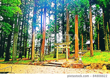 若宮琪琪神社 84808822