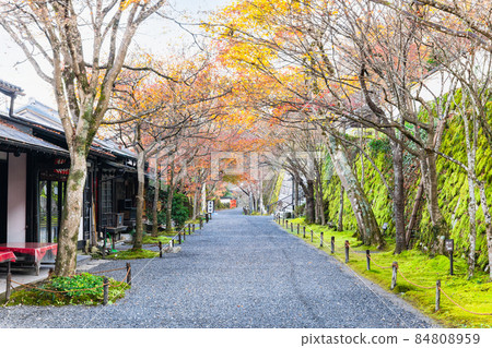 Kyoto Ohara Sanzen-in Temple in late autumn 84808959