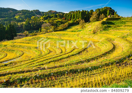 [Chiba Prefecture] Autumn Oyama Senmaida shore after rice harvesting 84809279