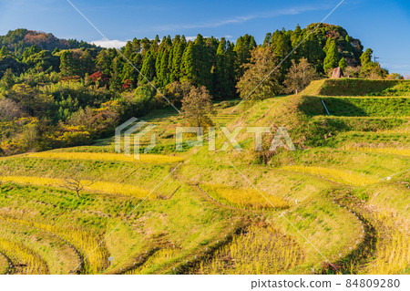 【千葉縣】稻穀收割後的秋季小山千枚田 84809280