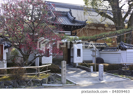 Hojuji Ryugumon Red Plum 84809463