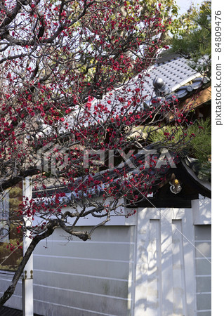 Hojuji Ryugumon Red Plum Hojuji Ryugumon Red Plum 84809476