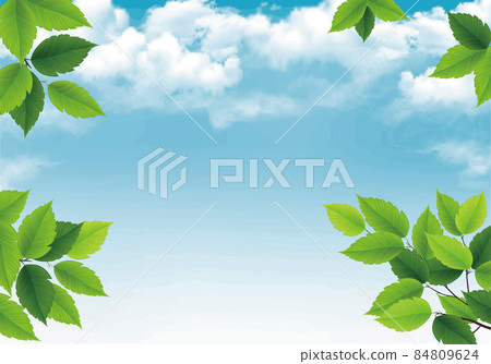 Blue sky and green leaf background material 84809624