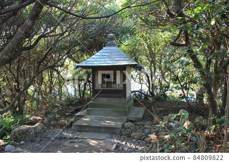 Five companies Shrine 84809822