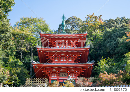 岐阜公園 紀念大正天皇寶座的三層寶塔 84809870