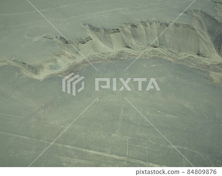 [Peru] Nasca ground painting: hummingbird 84809876