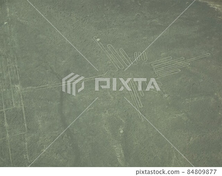 [Peru] Nasca ground painting: hummingbird 84809877