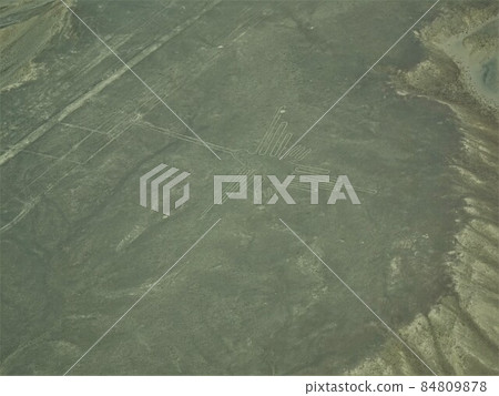 [Peru] Nasca ground painting: hummingbird 84809878