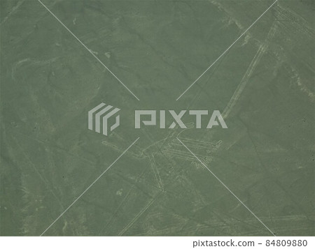 [Peru] Nasca ground painting: dog 84809880
