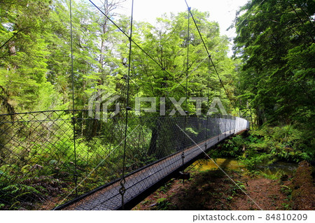 New Zealand_Te Anau 11 84810209