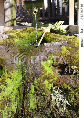 八坂神社Goshinsui（Rikisui） 84810246