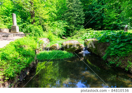 View of the small stream and Truncated column in Sofiyivka park in Uman, Ukraine 84810536