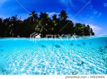 Landscape of Maldives Ranveli Landscape of Maldives Ranveli 84810644