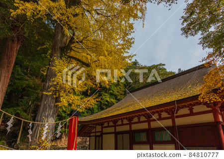 Superb view Nara prefecture, pilgrimage to ancient temples, mountainside, Asuka, Uda area wandering around autumn leaves 84810777