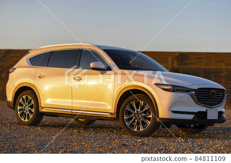 Car SUV Car SUV 84811109