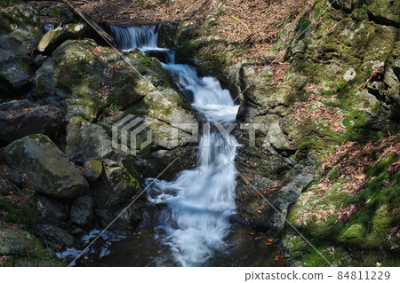 《Hyogo Prefecture》 Quasi-national park, scenery of Tendaki Valley [March] 84811229